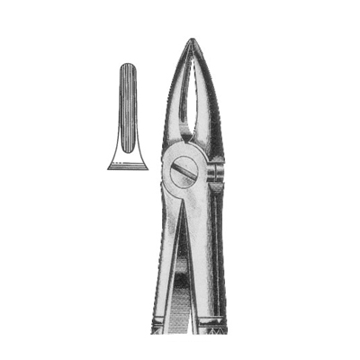 Extracting Forceps