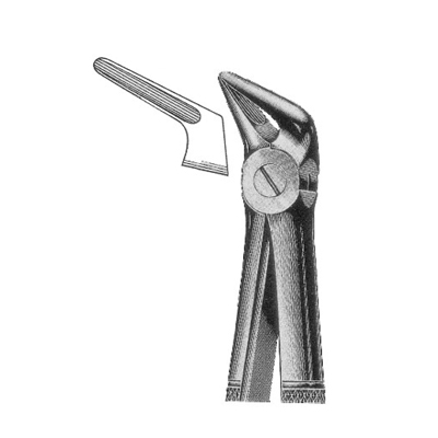 Extracting Forceps
