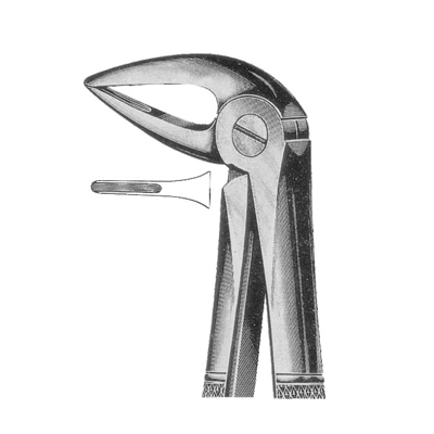 Extracting Forceps