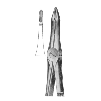 Extracting Forceps
