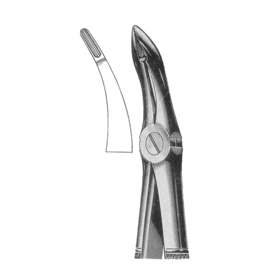 Extracting Forceps