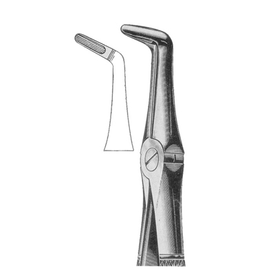 Extracting Forceps