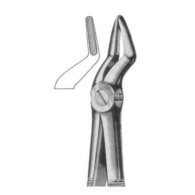 Extracting Forceps