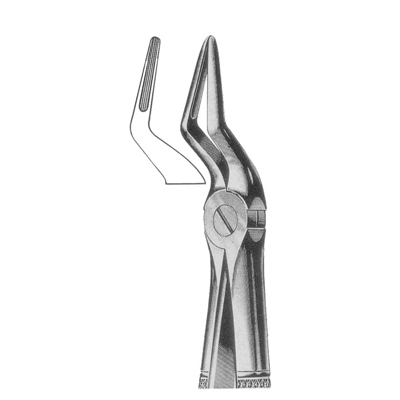 Extracting Forceps
