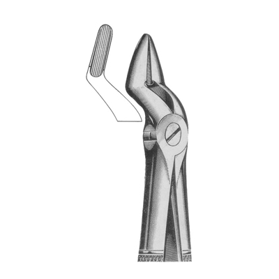 Extracting Forceps