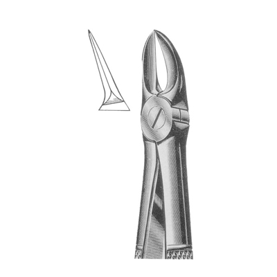 Extracting Forceps