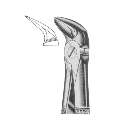 Extracting Forceps