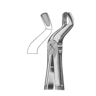 Extracting Forceps
