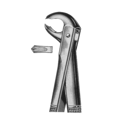 Extracting Forceps