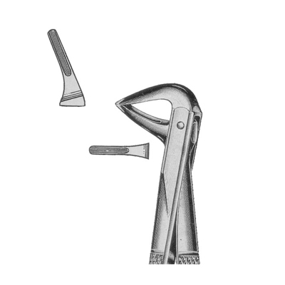 Extracting Forceps