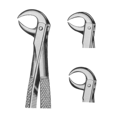 Extracting Forceps
