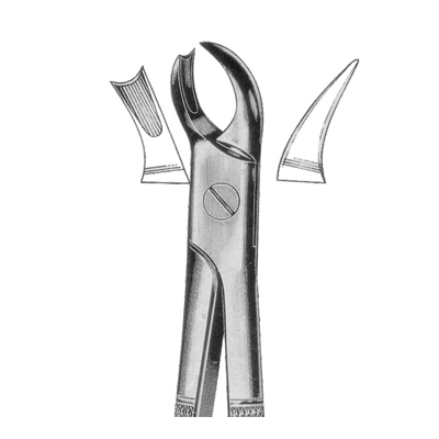 Extracting Forceps