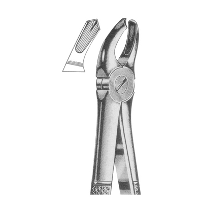 Extracting Forceps