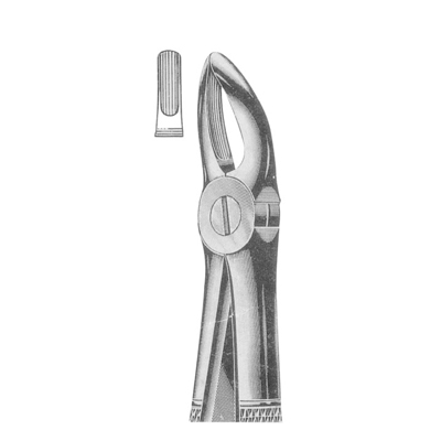 Extracting Forceps