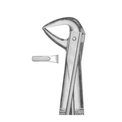 Extracting Forceps