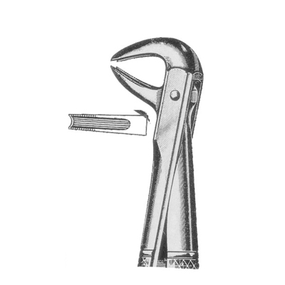 Extracting Forceps