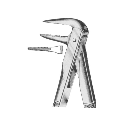 Extracting Forceps