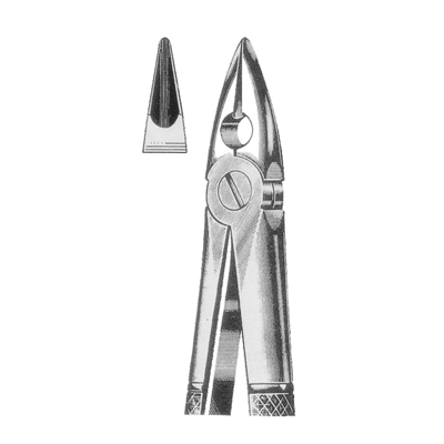Extracting Forceps