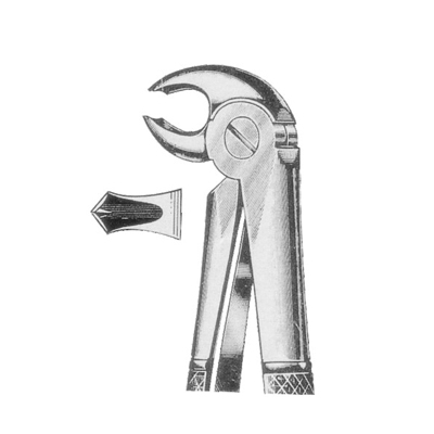 Extracting Forceps