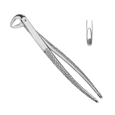 Extracting Forceps