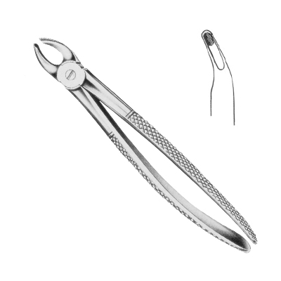 Extracting Forceps