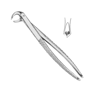 Extracting Forceps