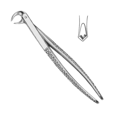 Extracting Forceps