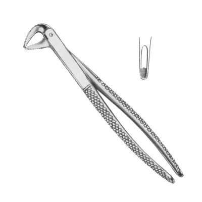 Extracting Forceps