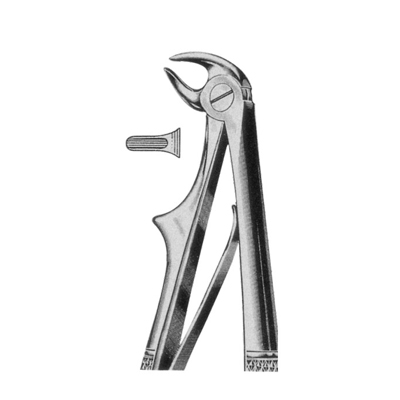 Extracting Forceps