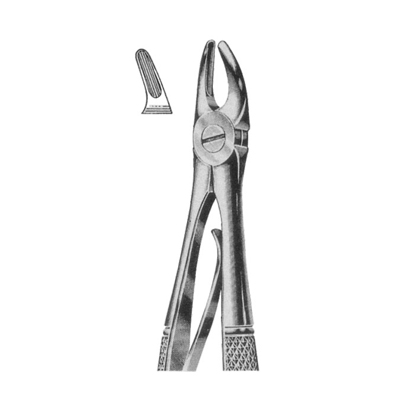 Extracting Forceps