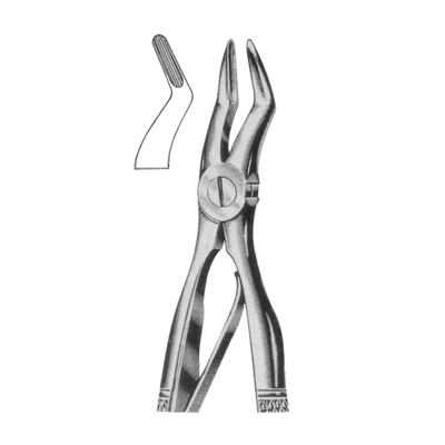 Extracting Forceps