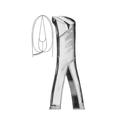 Extracting Forceps