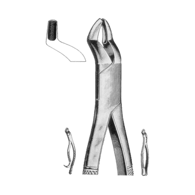 Extracting Forceps