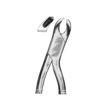 Extracting Forceps